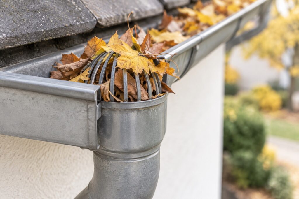Feuilles d’automne accumulées dans une crapaudine de gouttière au raccord d’une descente, gros plan crédible.
